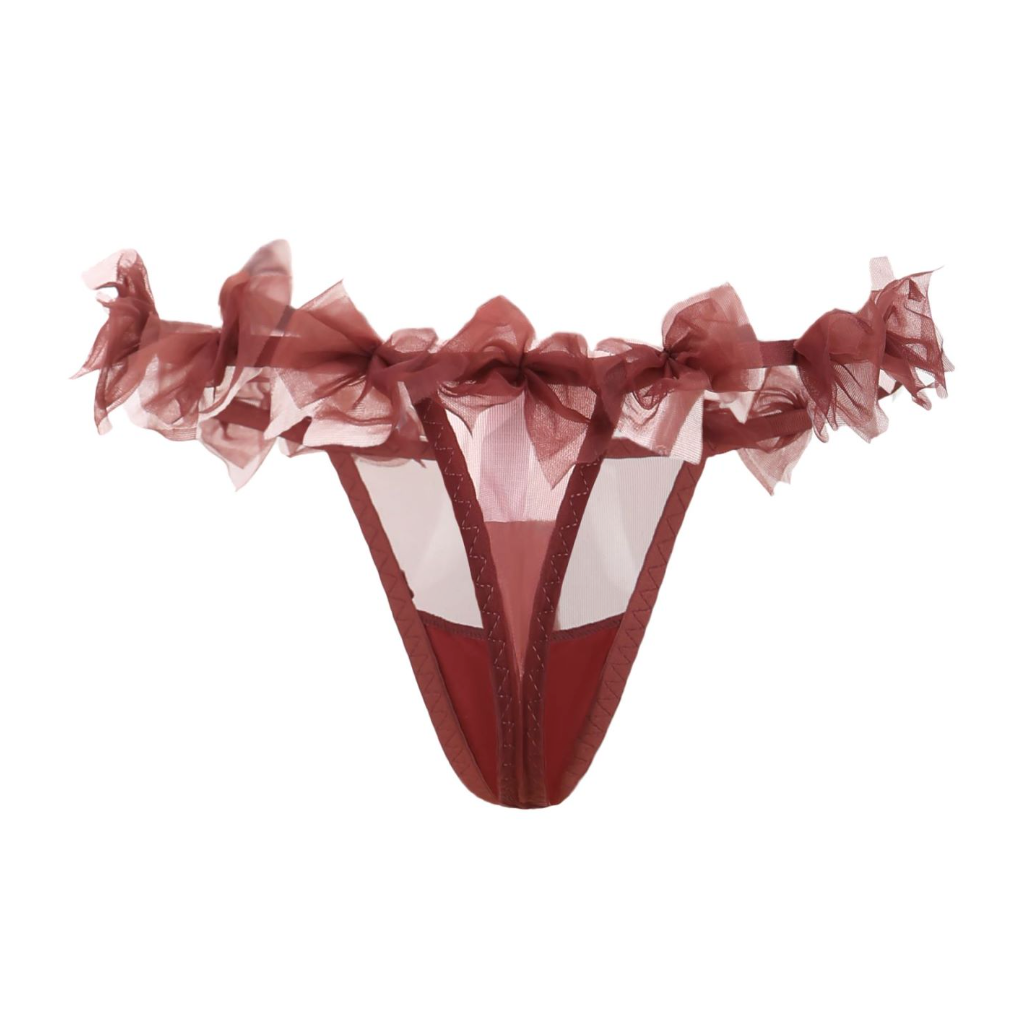 Burgundy Elegance Sheer Lace Bows Lingerie Set - EVYS Lingerie